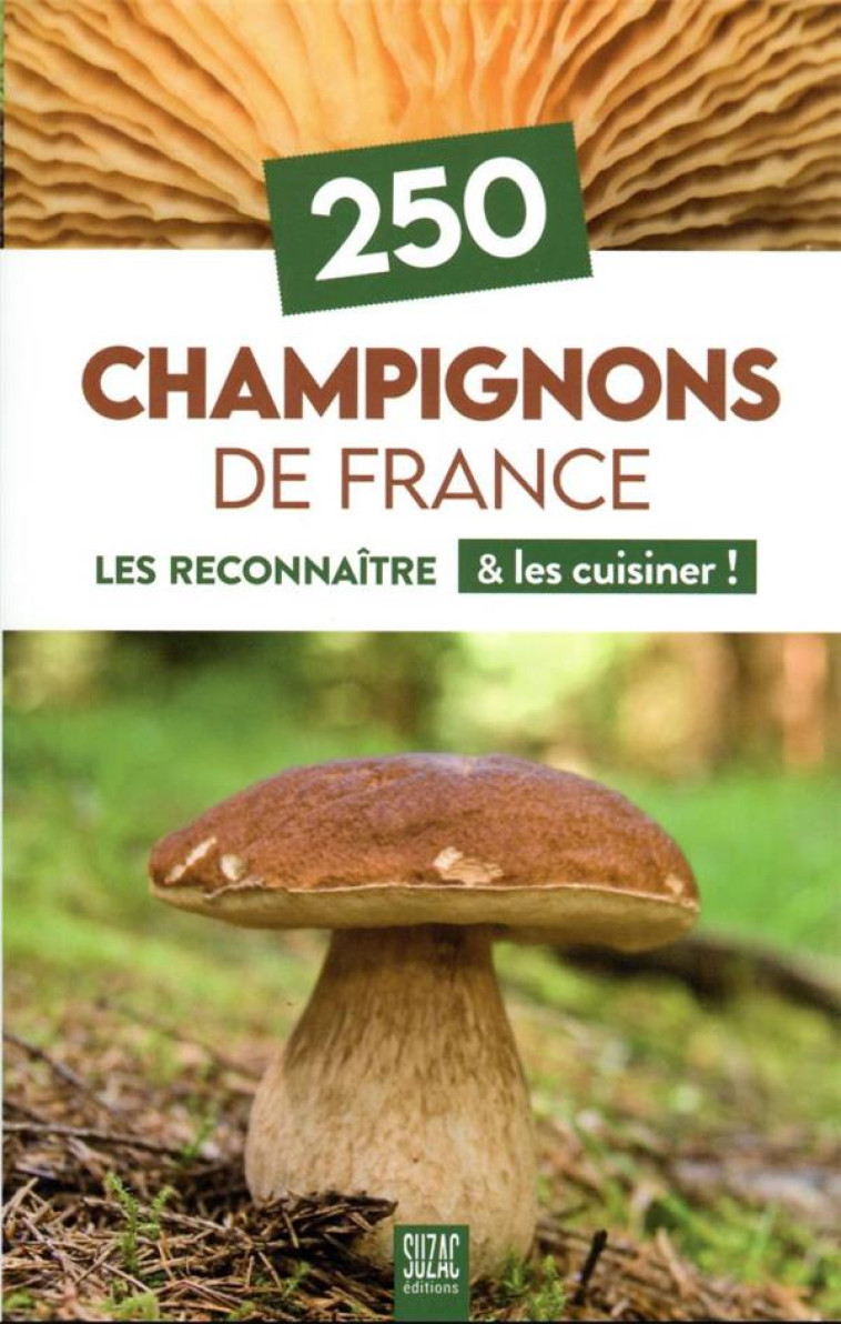 250 CHAMPIGNONS DE FRANCE - LES RECONNAITRE & LES CUISINER ! - COLLECTIF - DU LUMIGNON