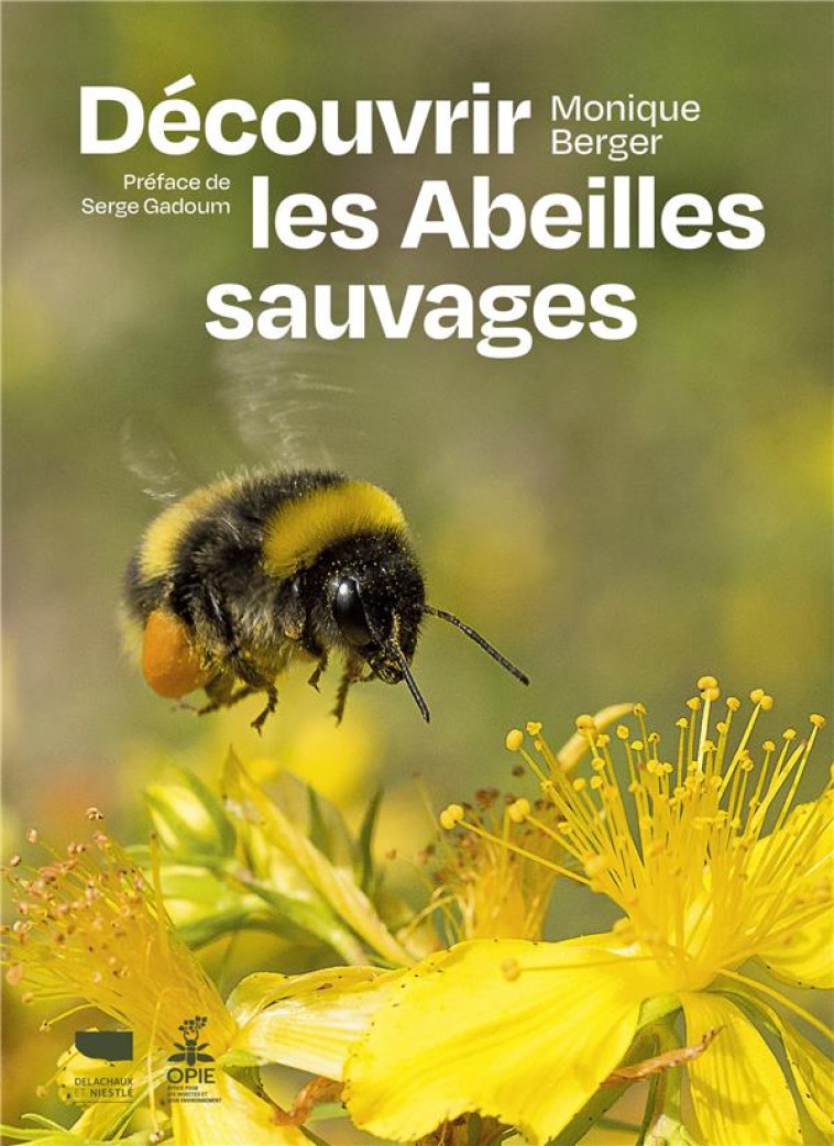 DECOUVRIR LES ABEILLES SAUVAGES - BERGER/GADOUM - DELACHAUX