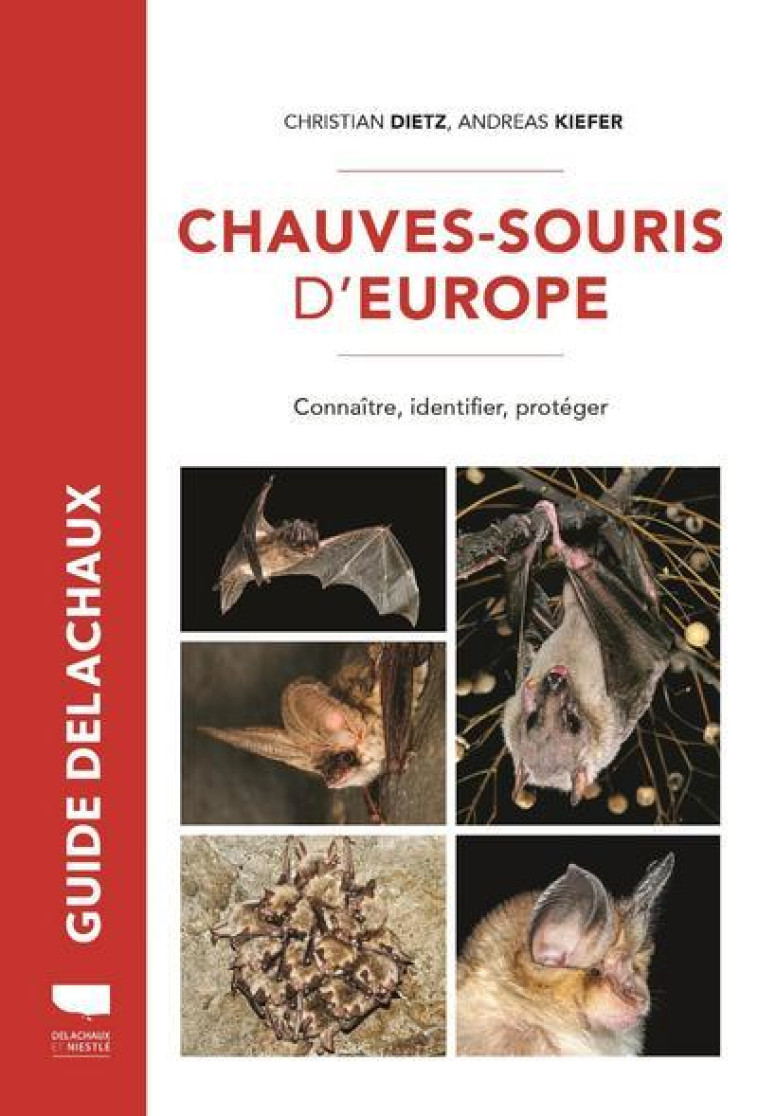 CHAUVES-SOURIS D'EUROPE - CONNAITRE, IDENTIFIER, PROTEGER - DIETZ/KIEFER - DELACHAUX