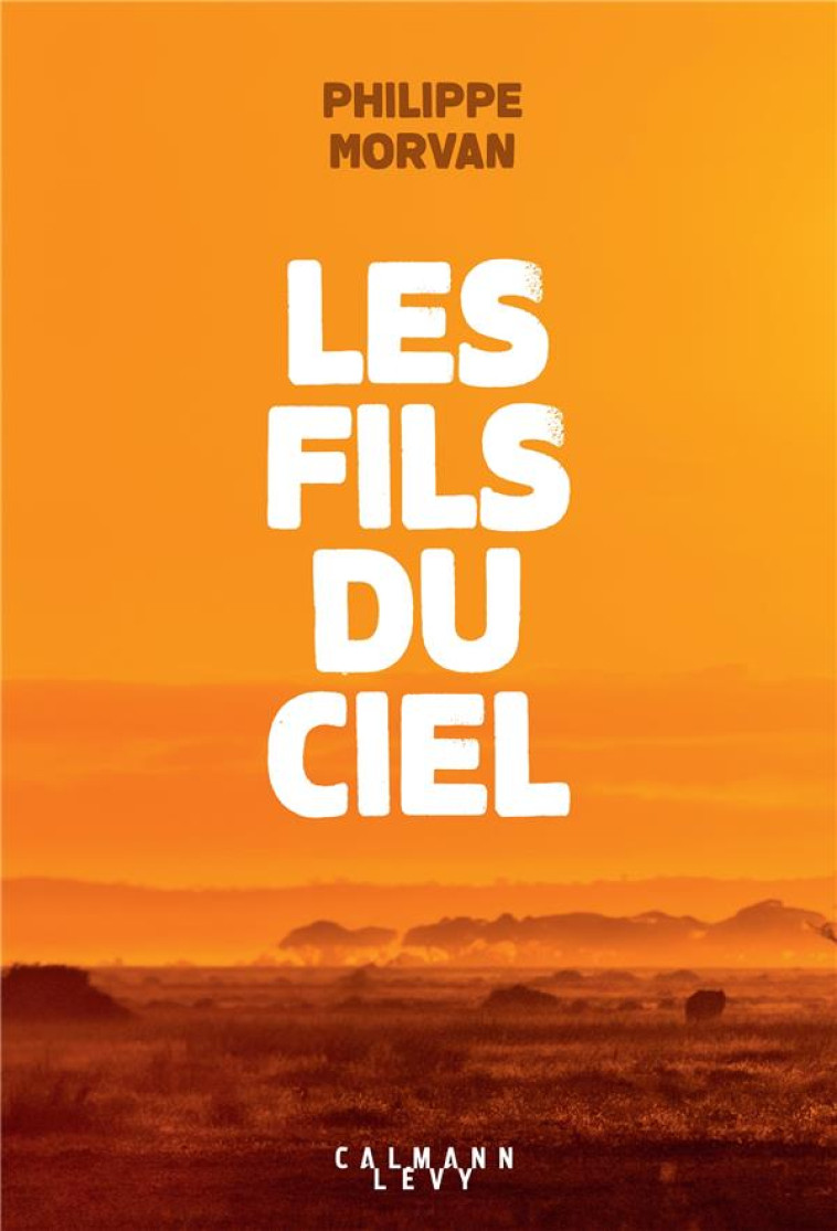 LES FILS DU CIEL - MORVAN PHILIPPE - NC