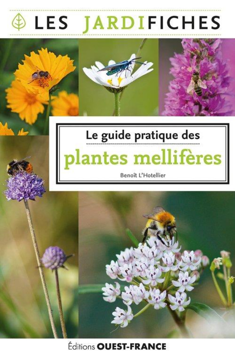 LE GUIDE PRATIQUE DES PLANTES MELLIFERES - L'HOTELLIER BENOIT - OUEST FRANCE