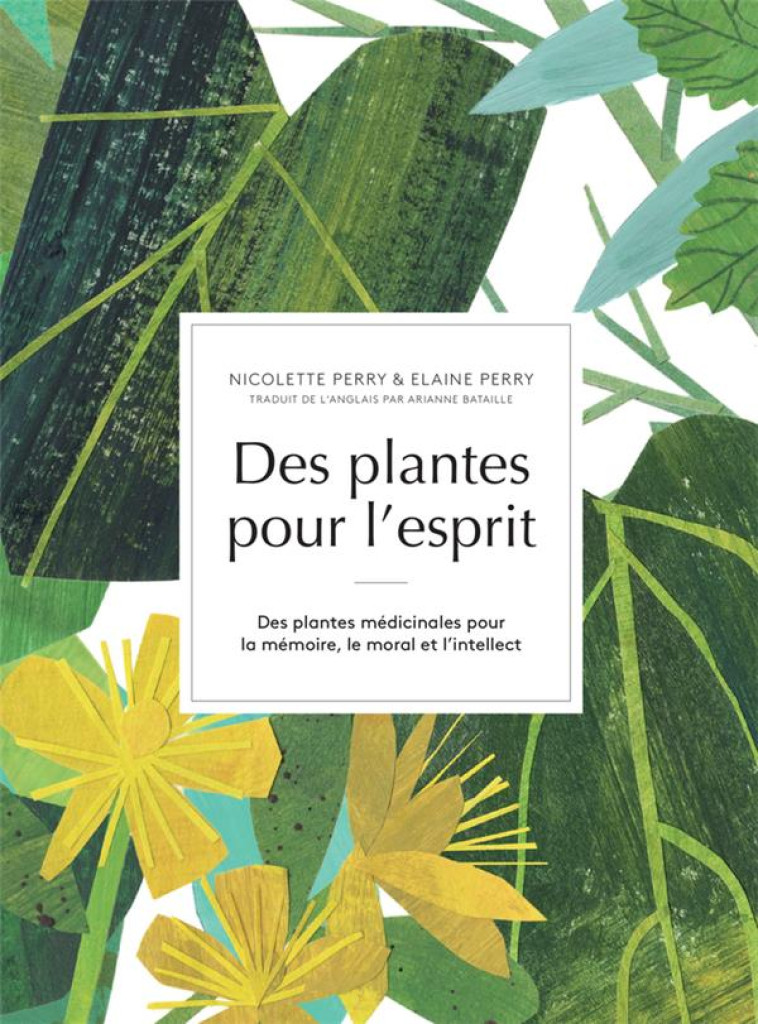 DES PLANTES POUR L'ESPRIT - DES PLANTES MEDICINALES POUR LA MEMOIRE, LE MORAL ET L'INTELLECT - PERRY - ROUERGUE