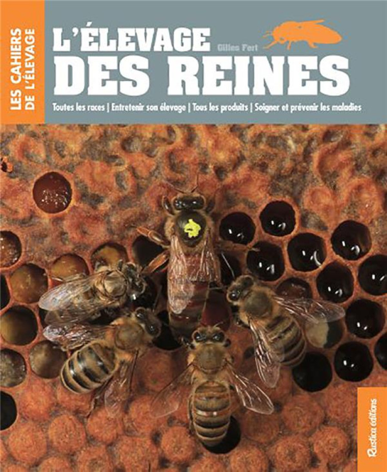 L'ELEVAGE DES REINES - TOUTES LES RACES - ENTRETENIR SON ELEVAGE - TOUS LES PRODUITS - SOIGNER ET PR - FERT GILLES - Rustica