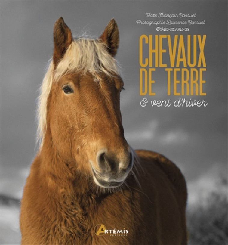 CHEVAUX DE TERRE ET VENT D'HIVER - BARRUEL - ARTEMIS