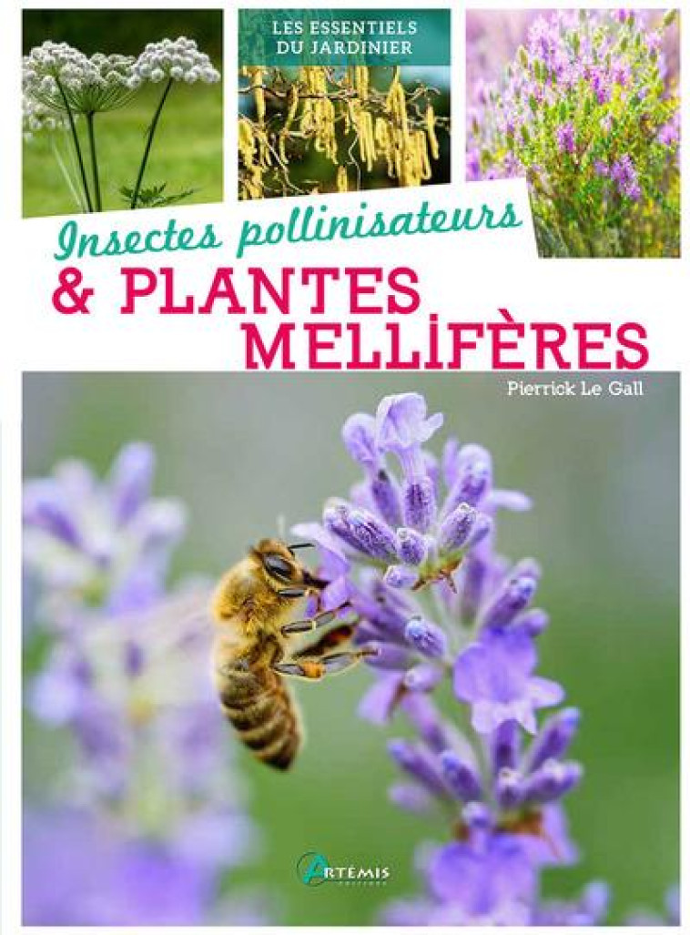 INSECTES POLLINISATEURS & PLANTES MELLIFERES - PIERRICK LE JARDINIE - ARTEMIS