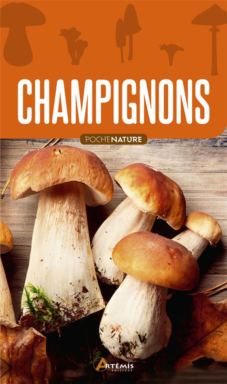 CHAMPIGNONS - POCHE NATURE - JM POLESE - ARTEMIS