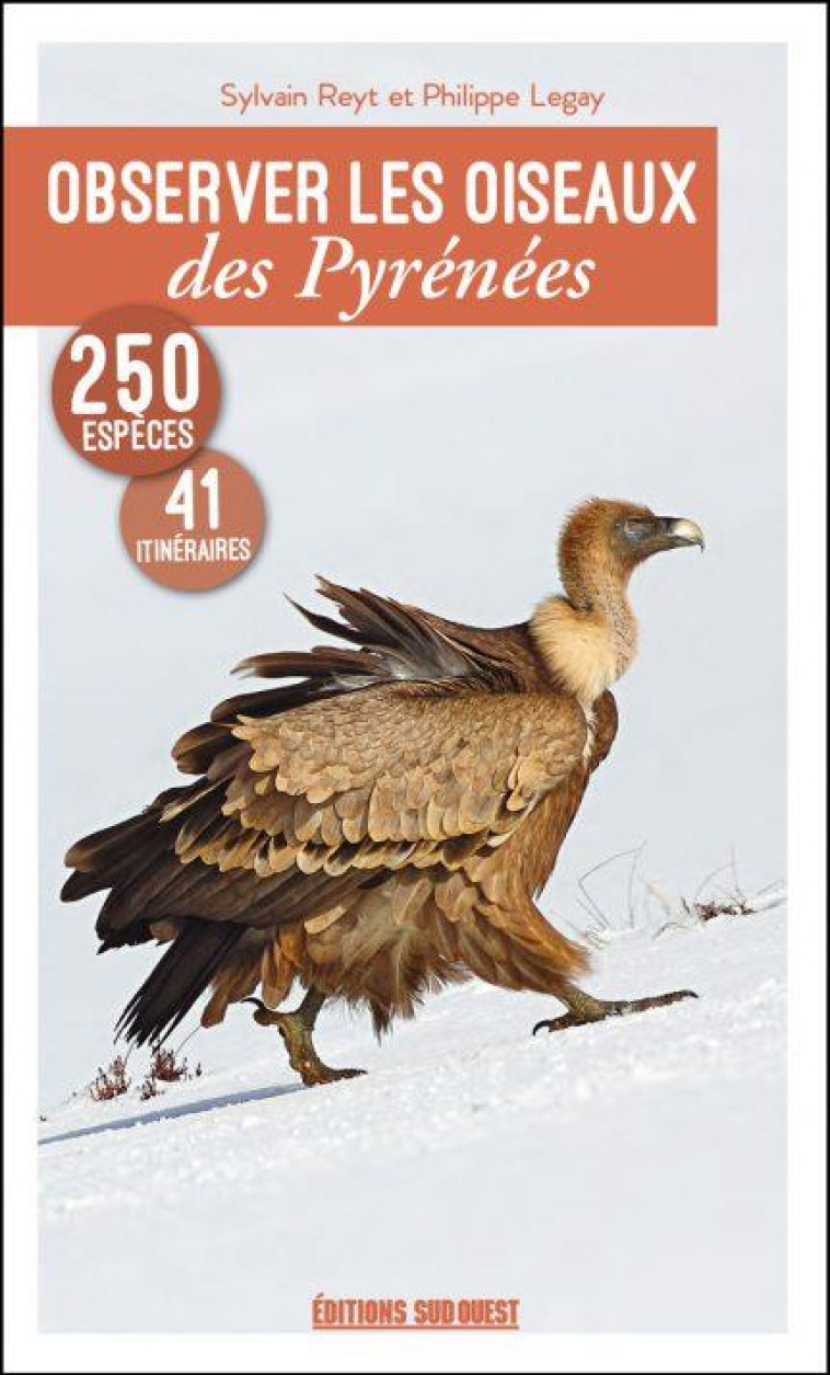 OBSERVER LES OISEAUX DES PYRENEES - LEGAY/REYT - SUD OUEST