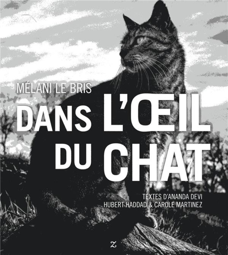 DANS L'OEIL DU CHAT - LE BRIS MELANI - ZULMA