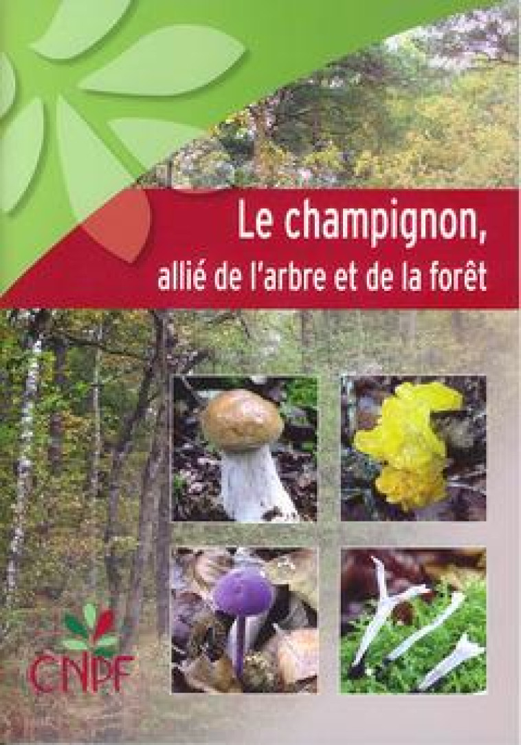 LE CHAMPIGNON, ALLIE DE L'ARBRE ET DE LA FORET - PICHARD GILLES - IDF