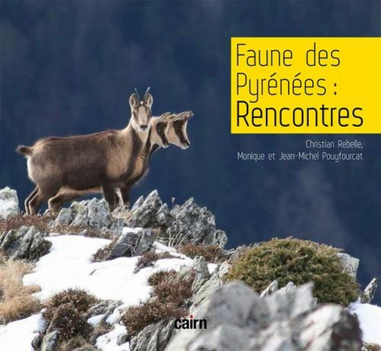 FAUNE DES PYRENEES : RENCONTRES - POUYFOURCAT/REBELLE - CAIRN