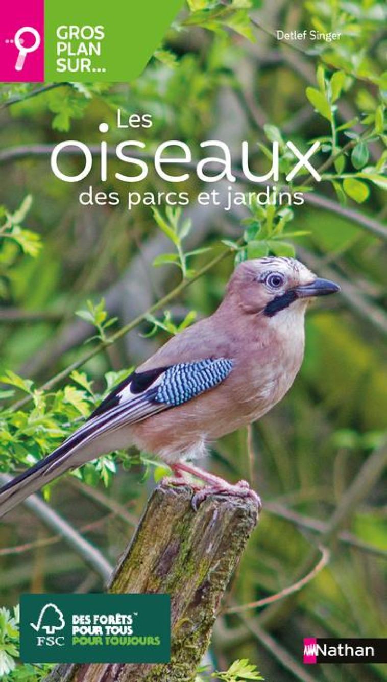 GROS PLAN SUR LES OISEAUX DES PARCS ET JARDINS - SINGER/WOTHE - CLE INTERNAT