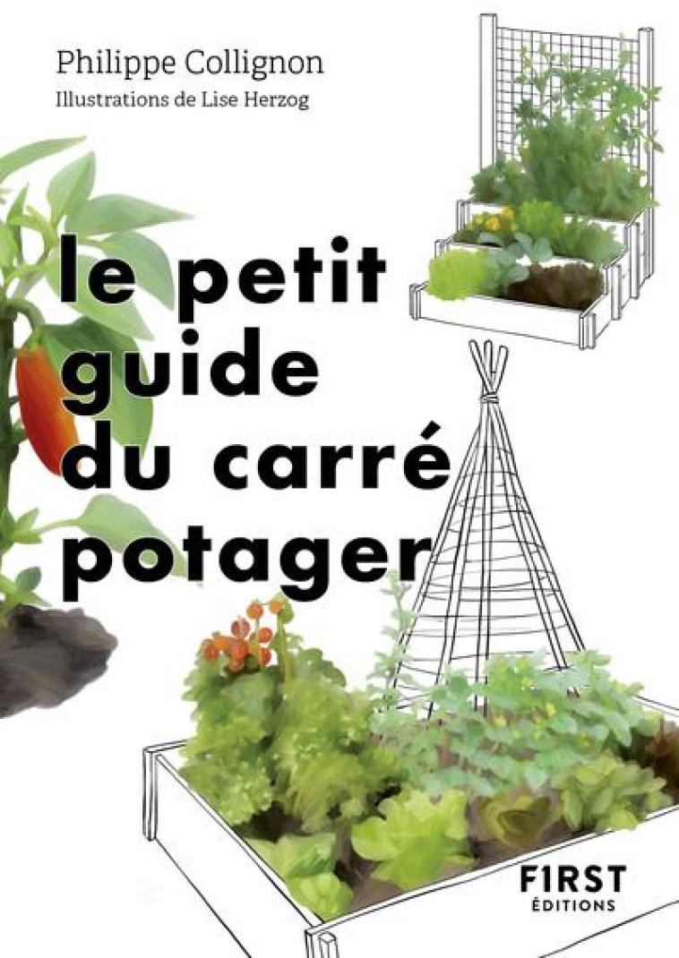 LE PETIT GUIDE DU CARRE POTAGER - COLLIGNON/HERZOG - FIRST