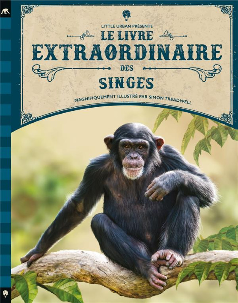 LE LIVRE EXTRAORDINAIRE DES SINGES - TAYLOR BARBARA - LITTLE URBAN