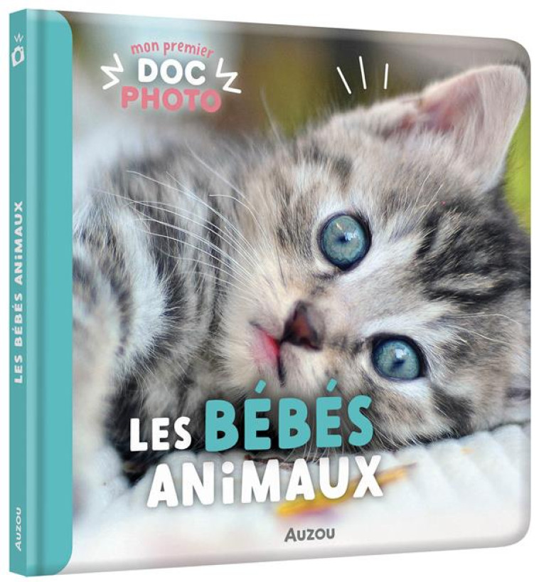 LES BEBES ANIMAUX - COLLECTIF - PHILIPPE AUZOU