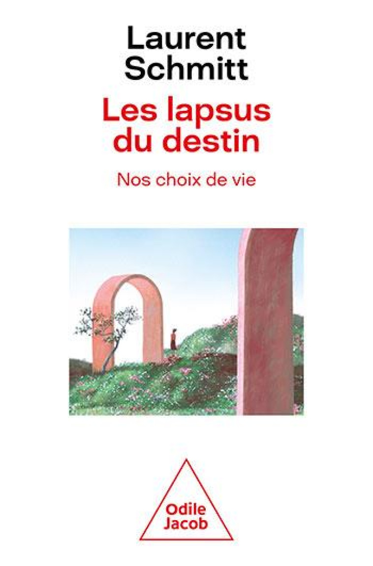 LES LAPSUS DU DESTIN. NOS CHOIX DE VIE - SCHMITT LAURENT - JACOB