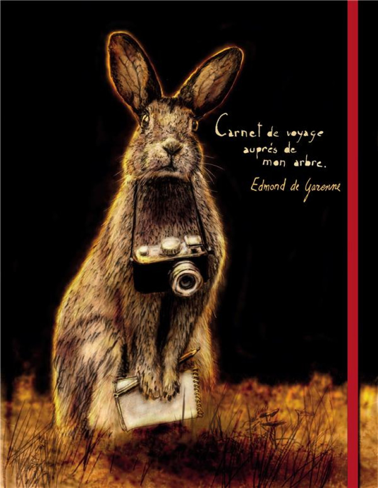 VOYAGE AUPRES DE MON ARBRE - LE CAHIER NATURALISTE D-UN LAPIN - DEDIEU THIERRY - SEUIL JEUNESSE