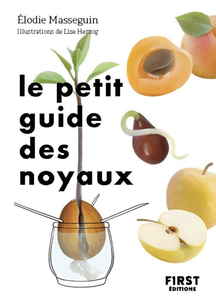 LE PETIT GUIDE DES NOYAUX - MASSEGUIN/HERZOG - FIRST