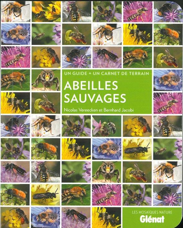 ABEILLES SAUVAGES - VEREECKEN/JACOBI - GLENAT