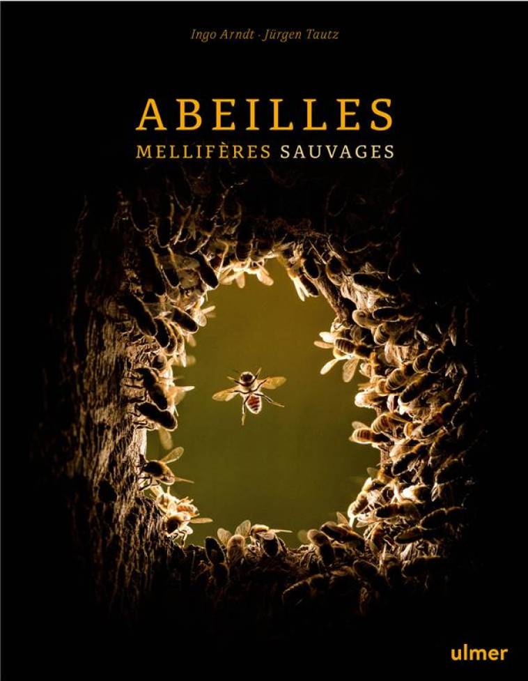 ABEILLES MELLIFERES SAUVAGES - ARNDT/TAUTZ - ULMER