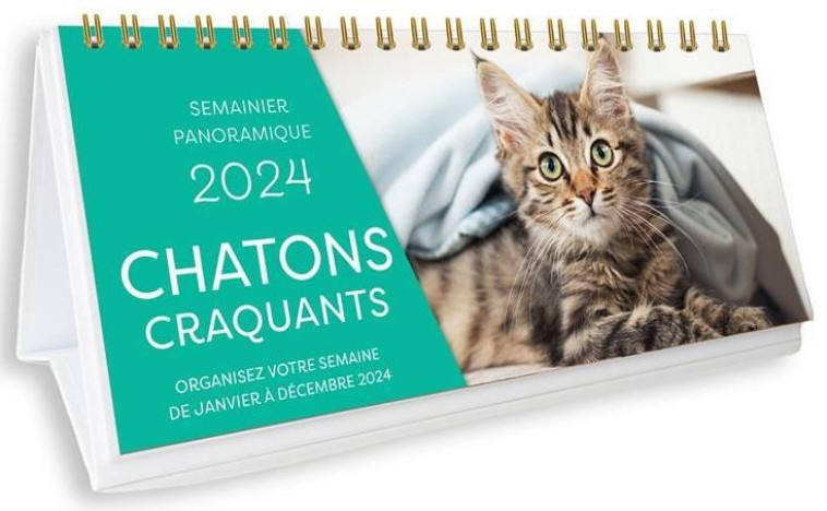 SEMAINIER PANORAMIQUE - CHATONS CRAQUANTS 2024, UNE PAGE PAR JOUR - XXX - NC