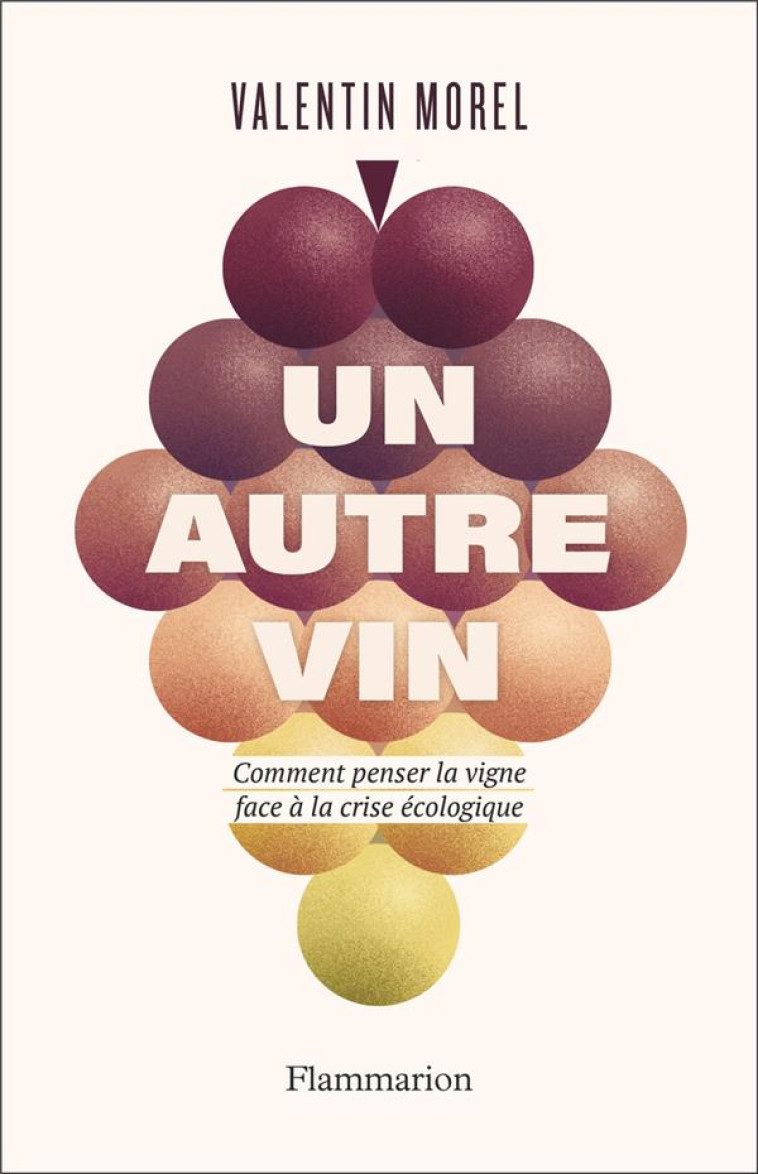 UN AUTRE VIN - COMMENT PENSER LA VIGNE FACE A LA CRISE ECOLOGIQUE - MOREL - FLAMMARION