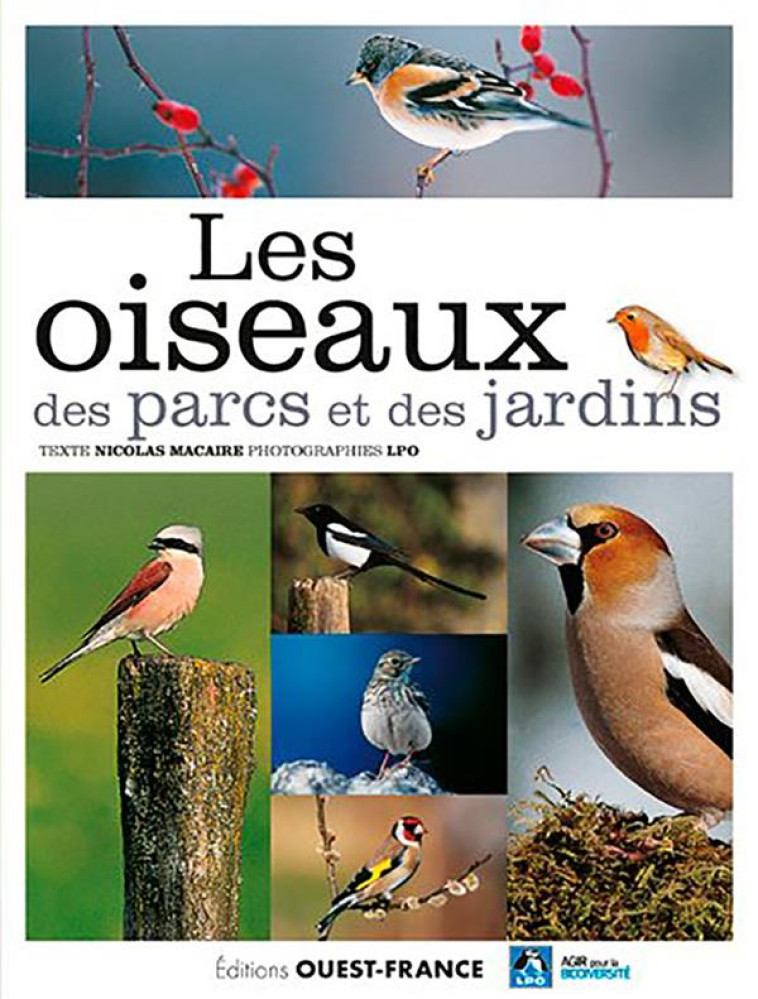 LES OISEAUX DES PARCS ET DES JARDINS - LPO/MACAIRE - OUEST FRANCE