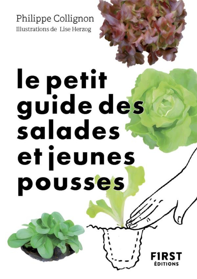 LE PETIT GUIDE JARDIN DES SALADES TOUTES SAISONS - COLLIGNON/HERZOG - FIRST