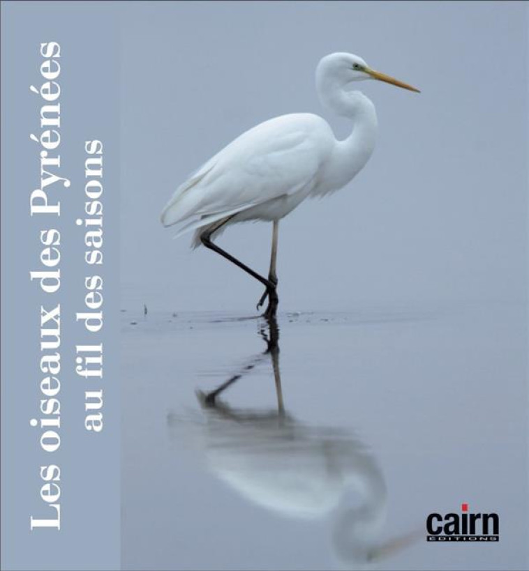 LES OISEAUX DES PYRENEES - AU FIL DES SAISONS - NIQUEUX-CADENE - CAIRN