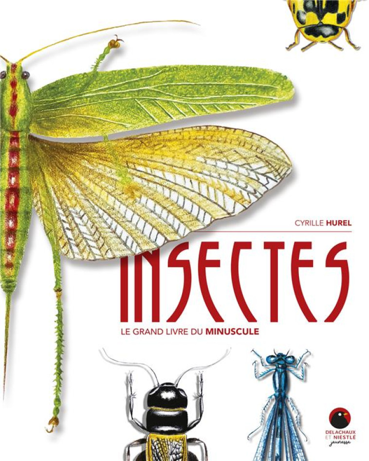 INSECTES - LE GRAND LIVRE DU MINUSCULE - HUREL CYRILLE - DELACHAUX