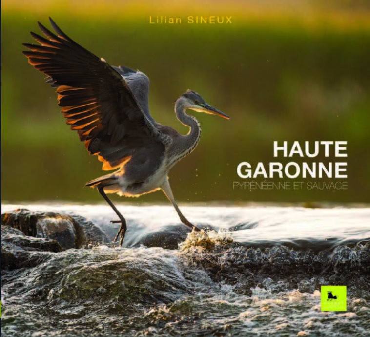 Haute-Garonne - Lilian SINEUX - CORBAC