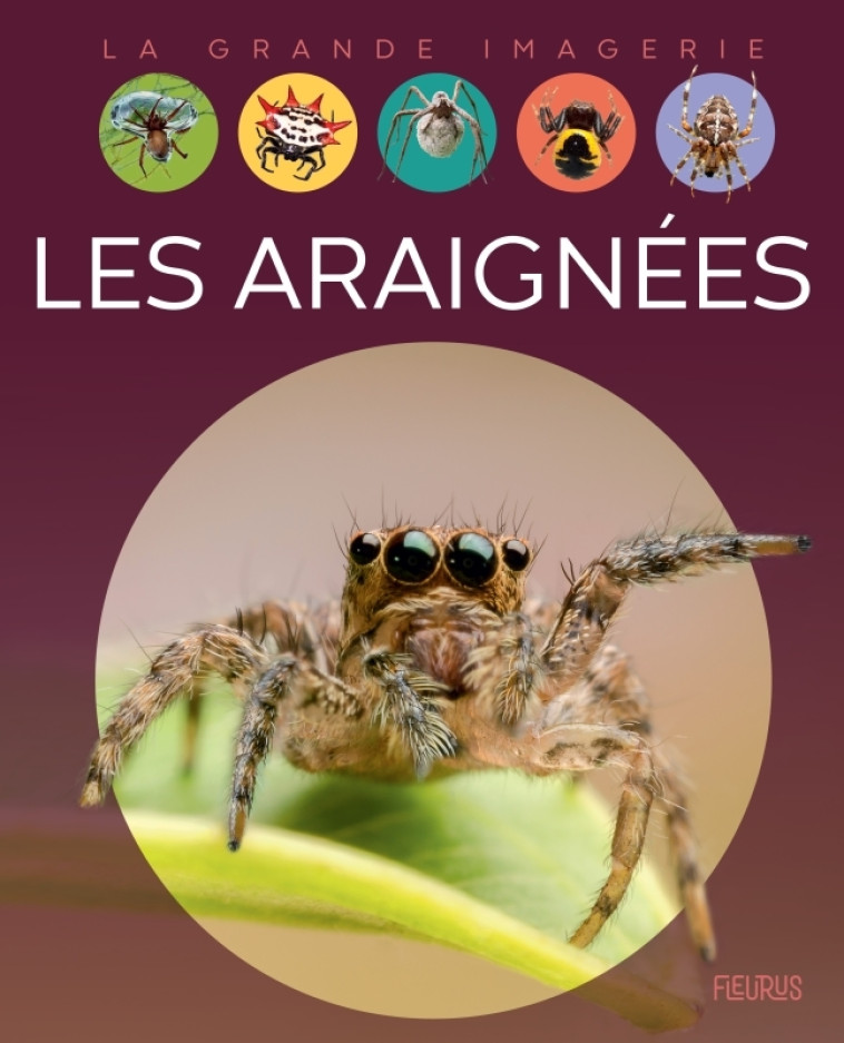 Les araignées - Cathy Franco - FLEURUS