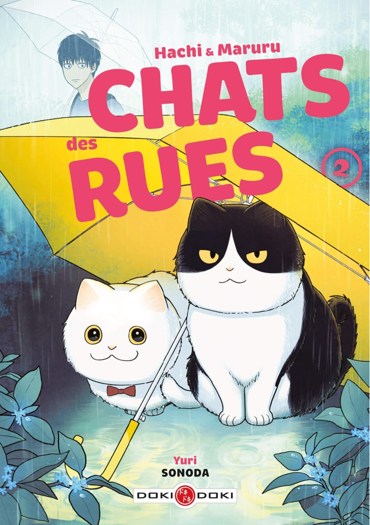 Hachi & Maruru - Chats des rues - vol. 02 - Yuri SONODA - BAMBOO