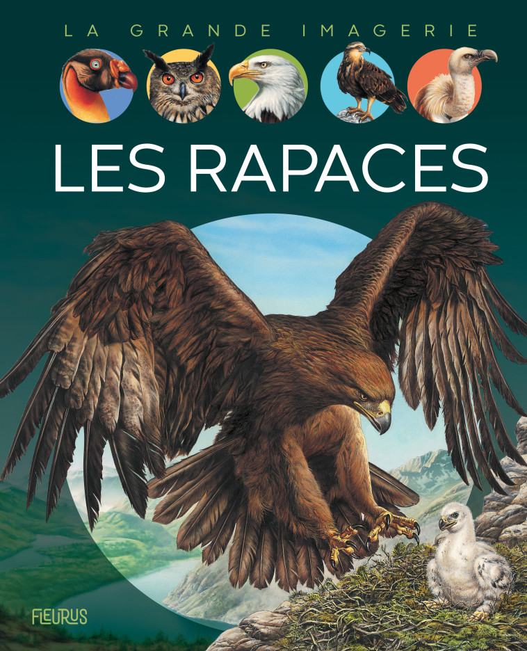 Les rapaces - Sabine Boccador - FLEURUS