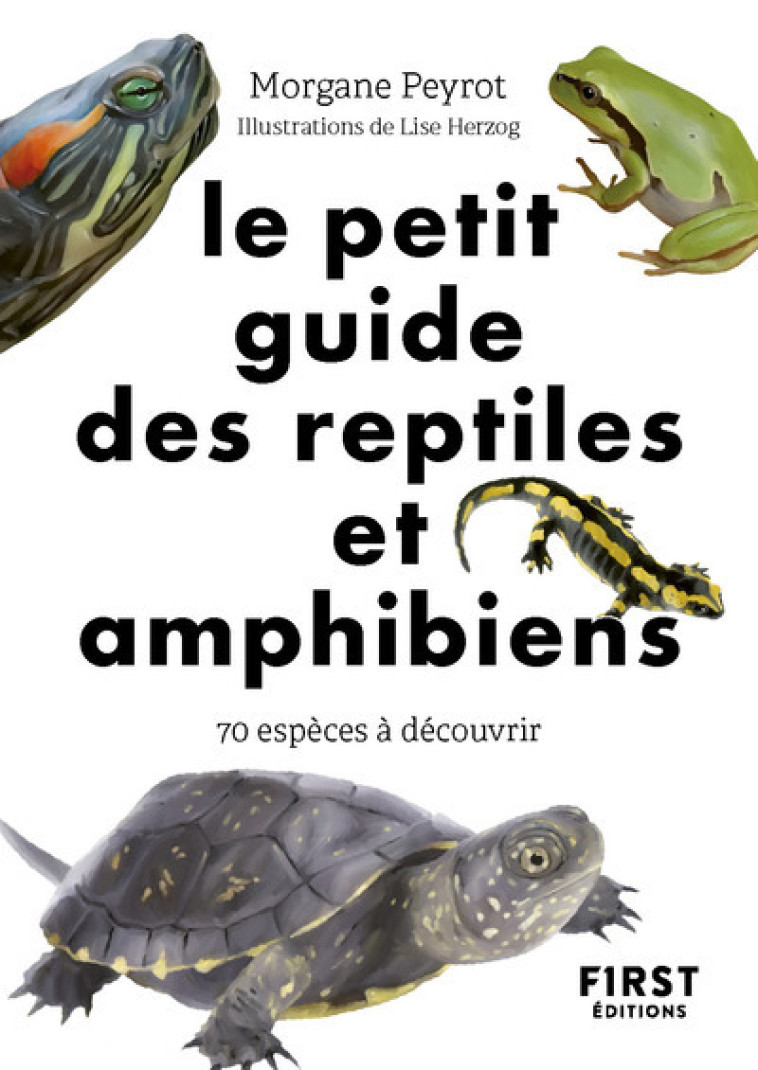 Le Petit Guide des reptiles et amphibiens - Morgane Peyrot, Lise Herzog - FIRST