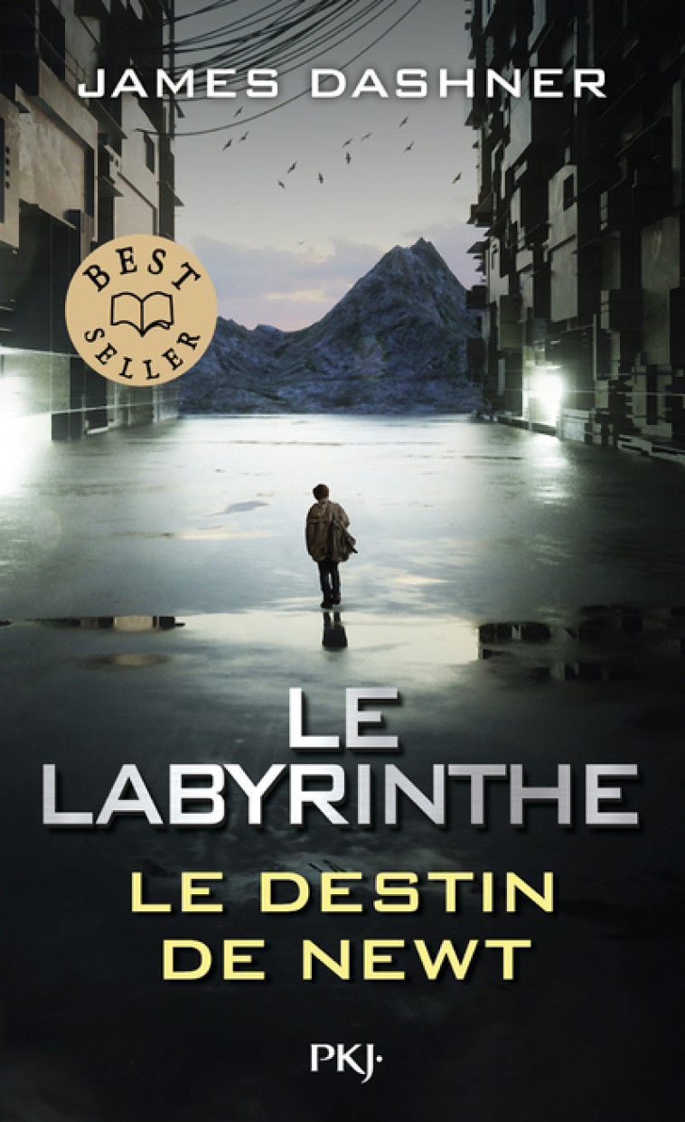 Le Labyrinthe : Le destin de Newt - Dashner James, Fournier Guillaume - POCKET JEUNESSE