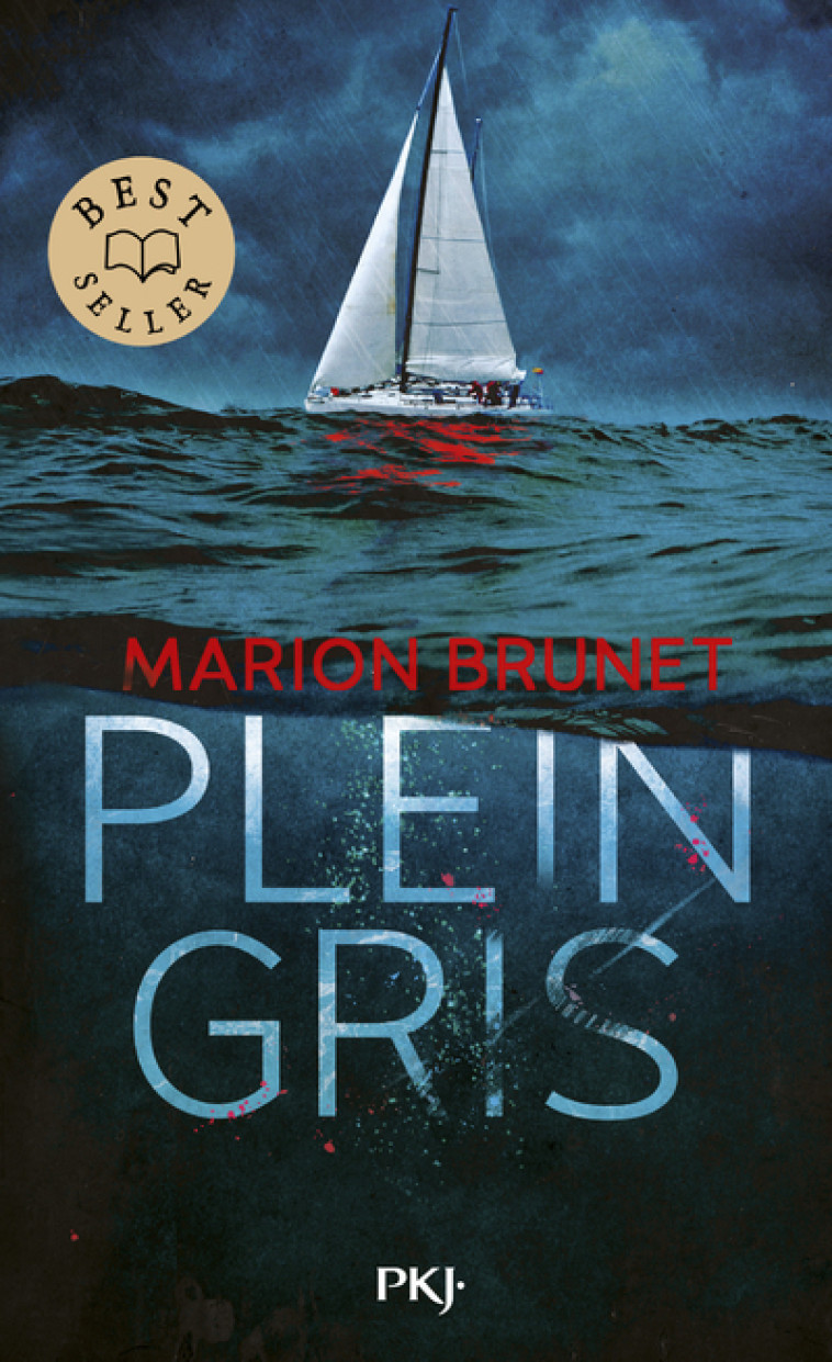 Plein Gris - Brunet Marion - POCKET JEUNESSE