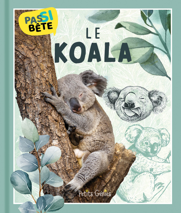 Pas si bête - Le koala - Bonin Pierre Alexandre - PETITS GENIES