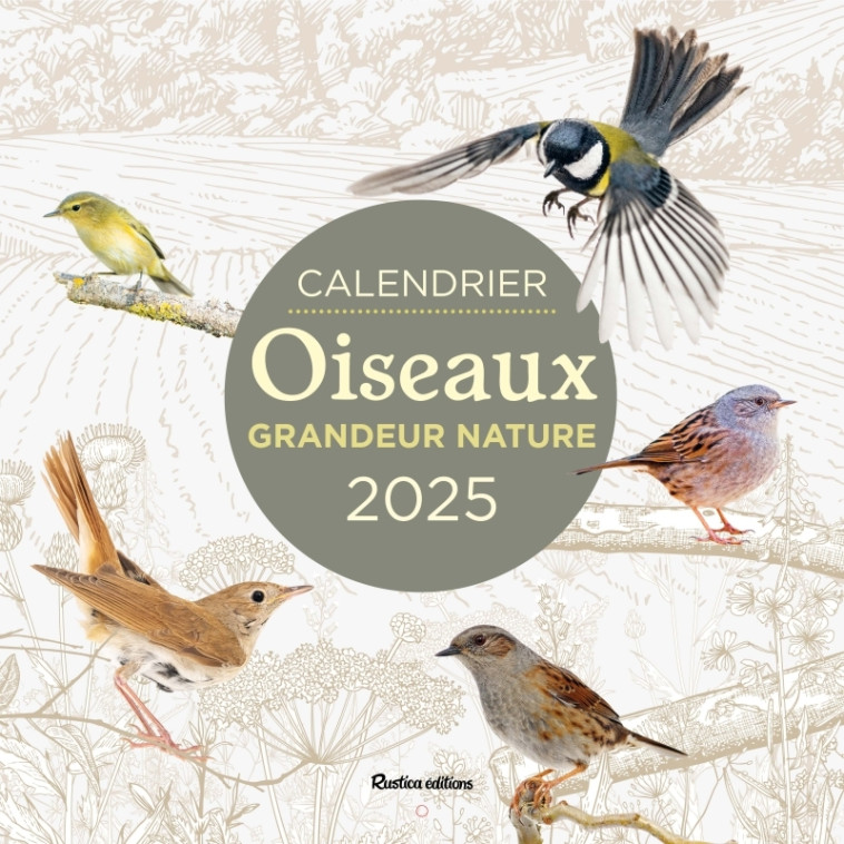 Calendrier 2025 oiseaux grandeur nature - XXX - RUSTICA