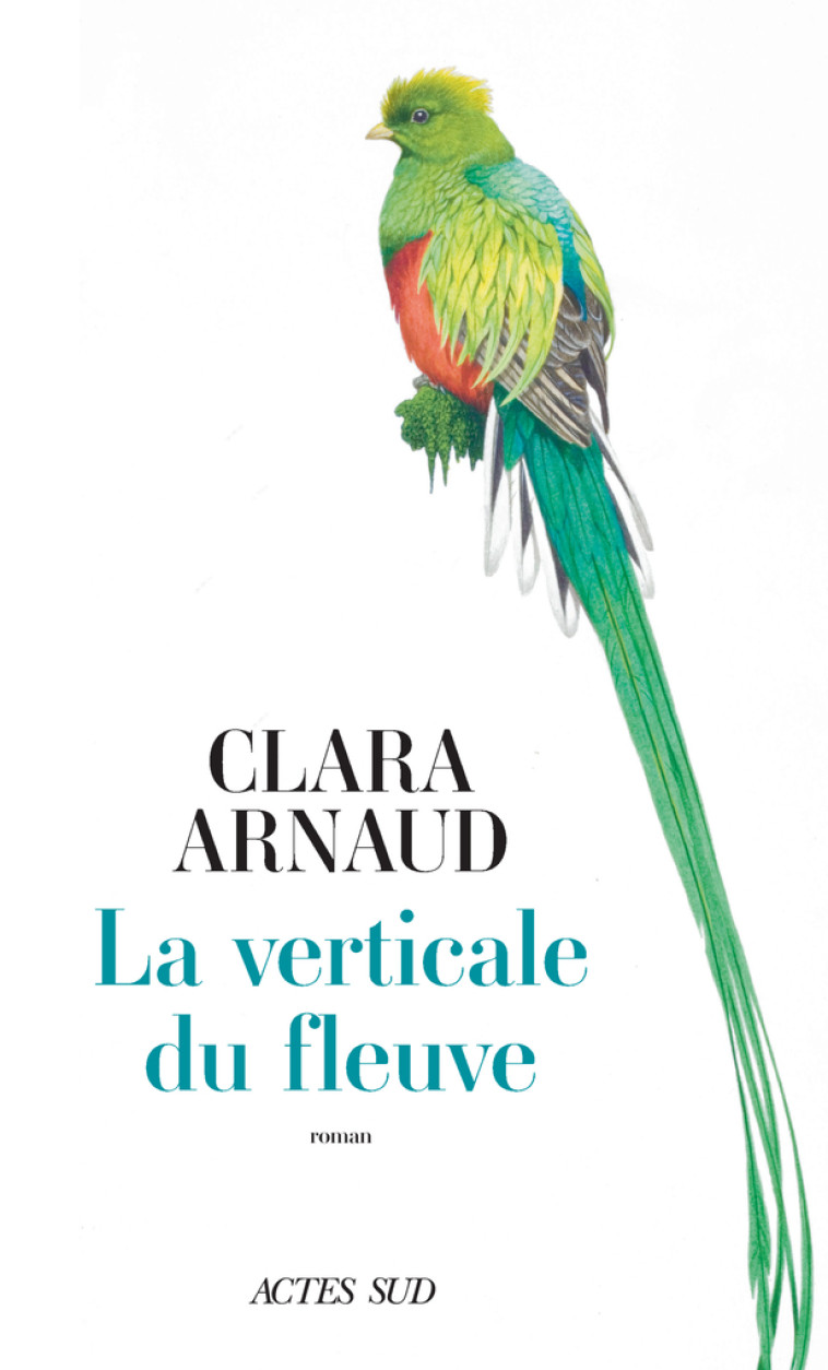 La Verticale du fleuve - Clara Arnaud - ACTES SUD