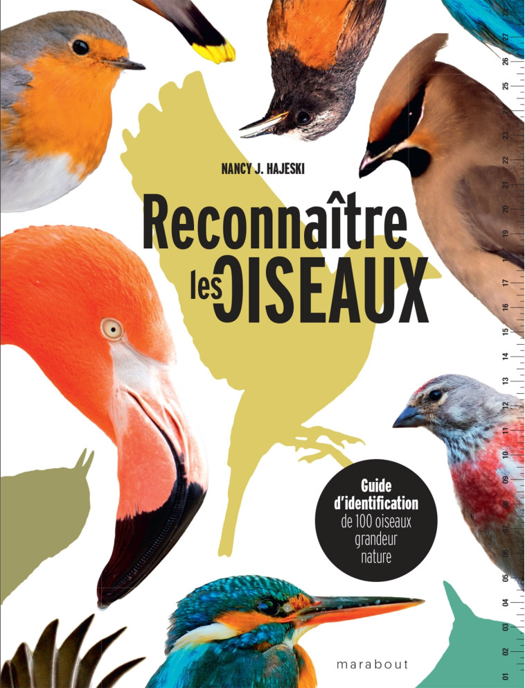 Reconnaître les oiseaux - Nancy J. Hajeski - MARABOUT