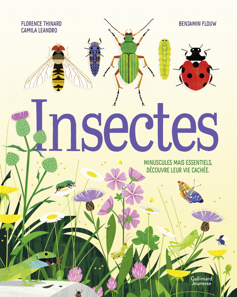 Insectes - Camila Leandro, Florence Thinard, Benjamin Flouw, Camila Leandro, Florence Thinard, Benjamin Flouw - GALLIMARD JEUNE