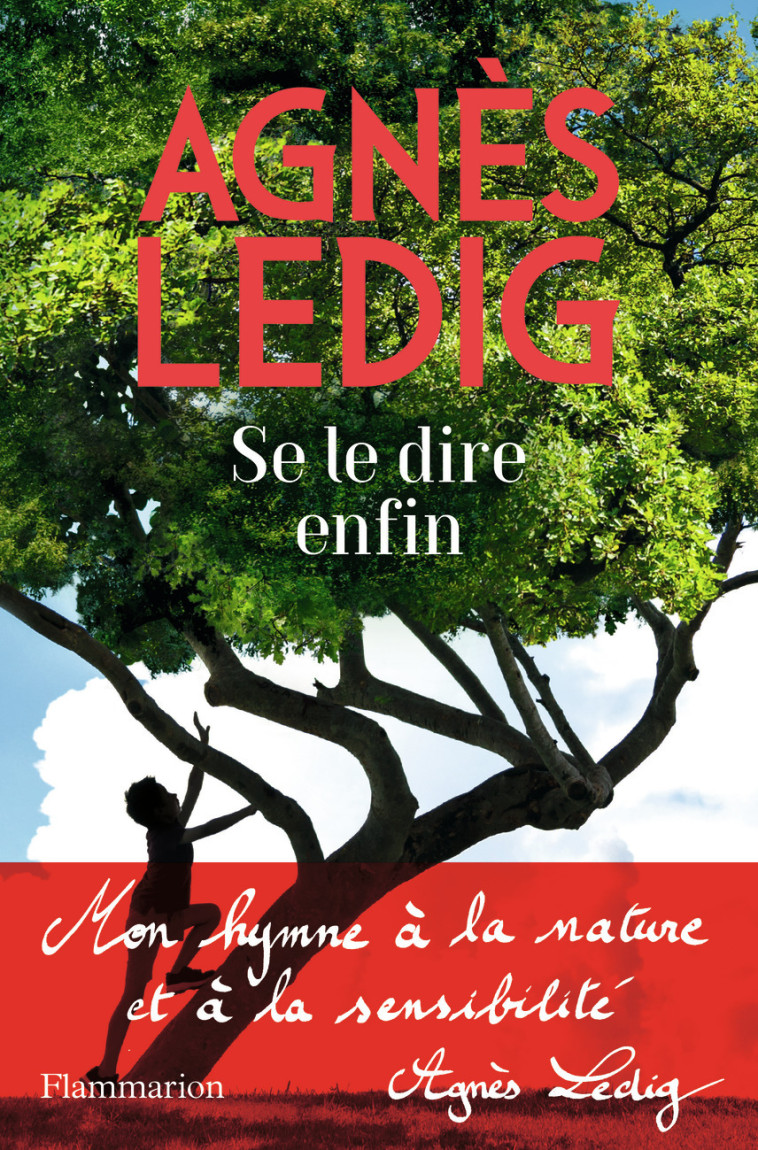 Se le dire enfin - Agnès Ledig - FLAMMARION