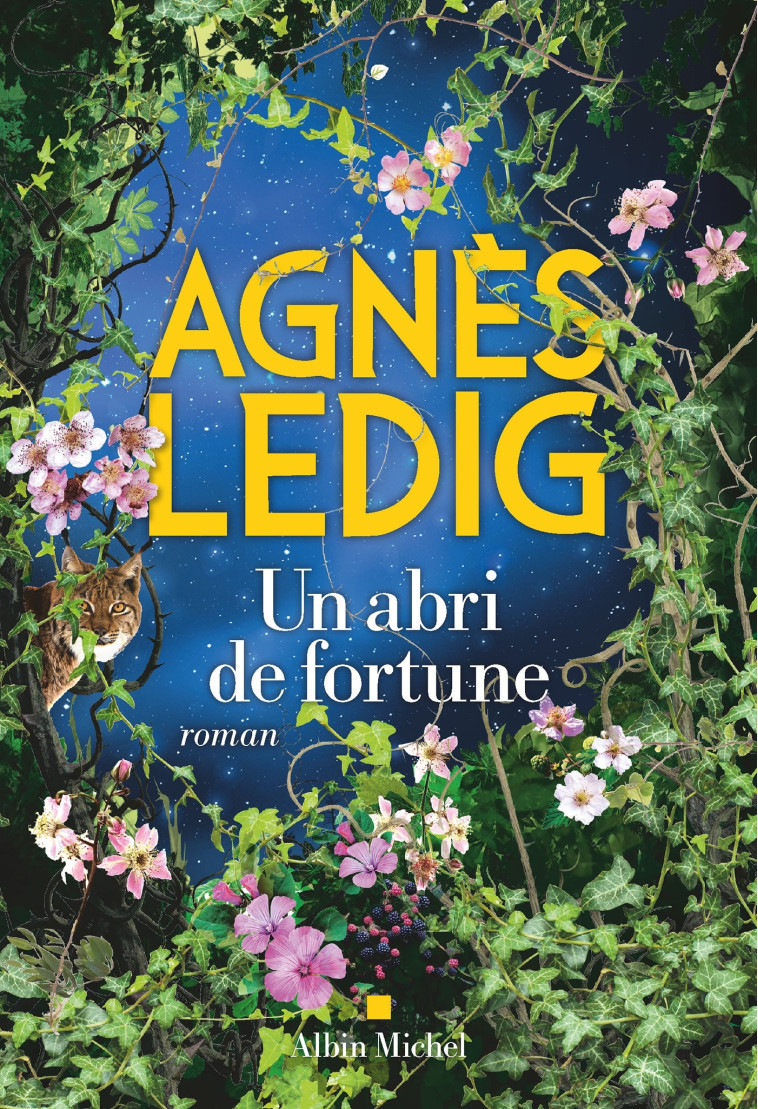 Un abri de fortune - Agnès Ledig - ALBIN MICHEL