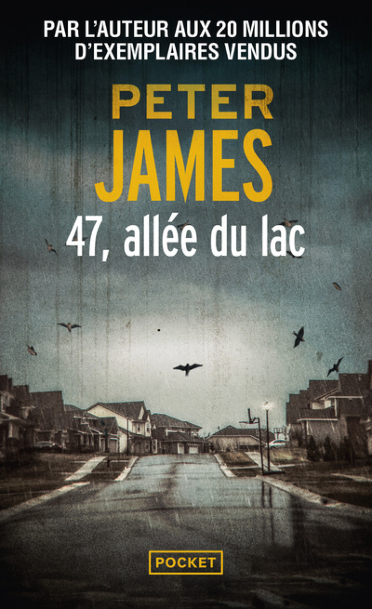 47, allée du lac - Peter James - POCKET