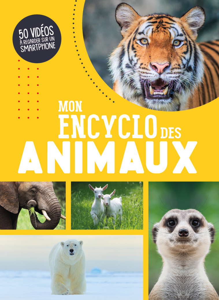 ENCYCLOPÉDIES - MON ENCYCLO DES ANIMAUX -  Atelier Cloro - 1 2 3 SOLEIL