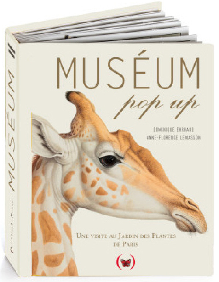 Muséum pop up - Anne-Florence Lemasson - GRANDES PERSONN