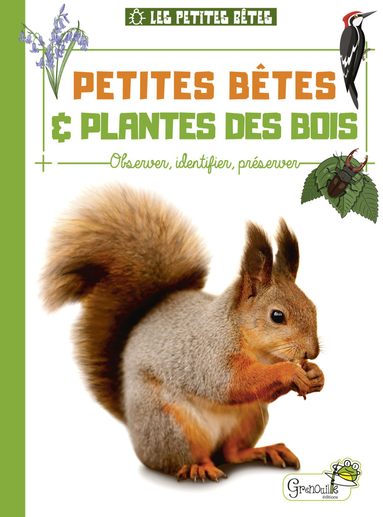 PETITES BETES ET PLANTES DES BOIS - Alice DELVAILLE - GRENOUILLE