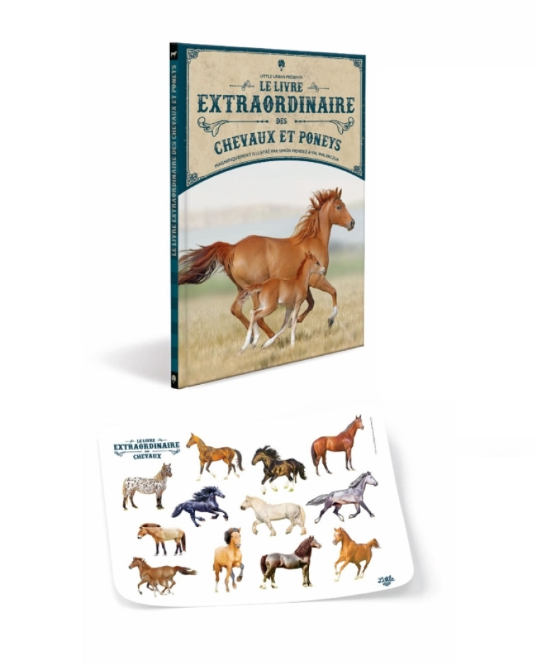 Le Livre extraordinaire des chevaux / Nouvelle édition (+ stickers) -  WALERCZUK Val - LITTLE URBAN