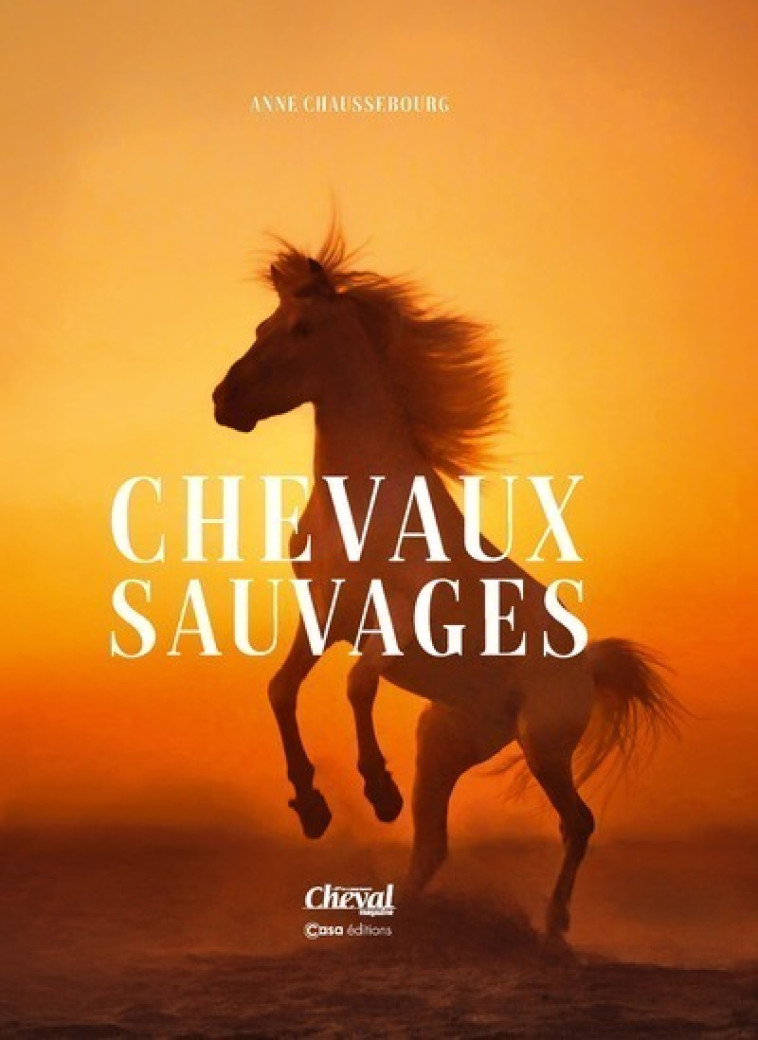 Chevaux Sauvages - Anne Chaussebourg - CASA