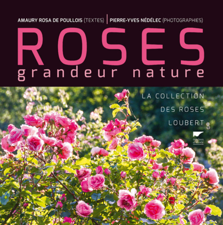 Roses grandeur nature - Pierre-Yves Nedelec - DELACHAUX